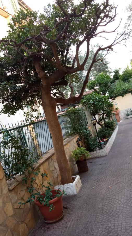 شقة Casa Diana روما المظهر الخارجي الصورة
